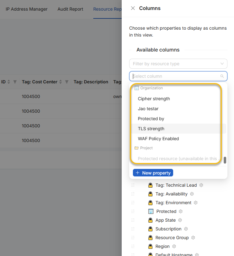 Scoped property selector in the NubOps Columns drawer showing System, Organization, and unavailable Project properties